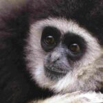 PARCO ZOO FALCONARA: GIUGNO RICCO DI APPUNTAMENTI