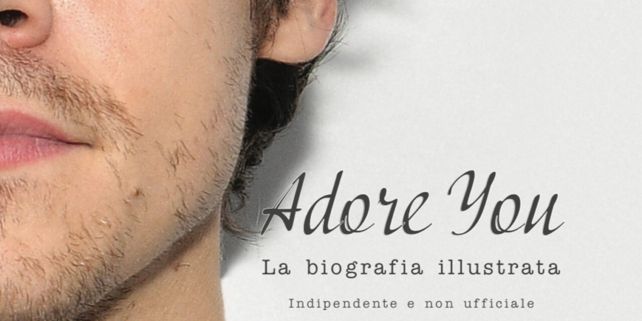 HARRY STYLES ADORE YOU: LA BIOGRAFIA ILLUSTRATA