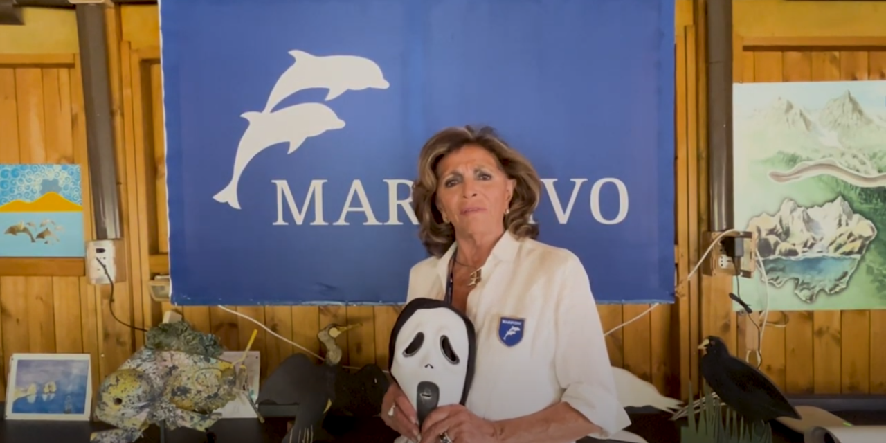 MAREVIVO: PIÙ PLASTICA CHE PESCI NON DOBBIAMO ASPETTARE IL 2050