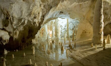 LE GROTTE DI FRASASSI FESTEGGIANO I CENTO MILA VISITATORI IN BASSA STAGIONE, DAL 1 FEBBRAIO DEL 2023 AD OGGI!