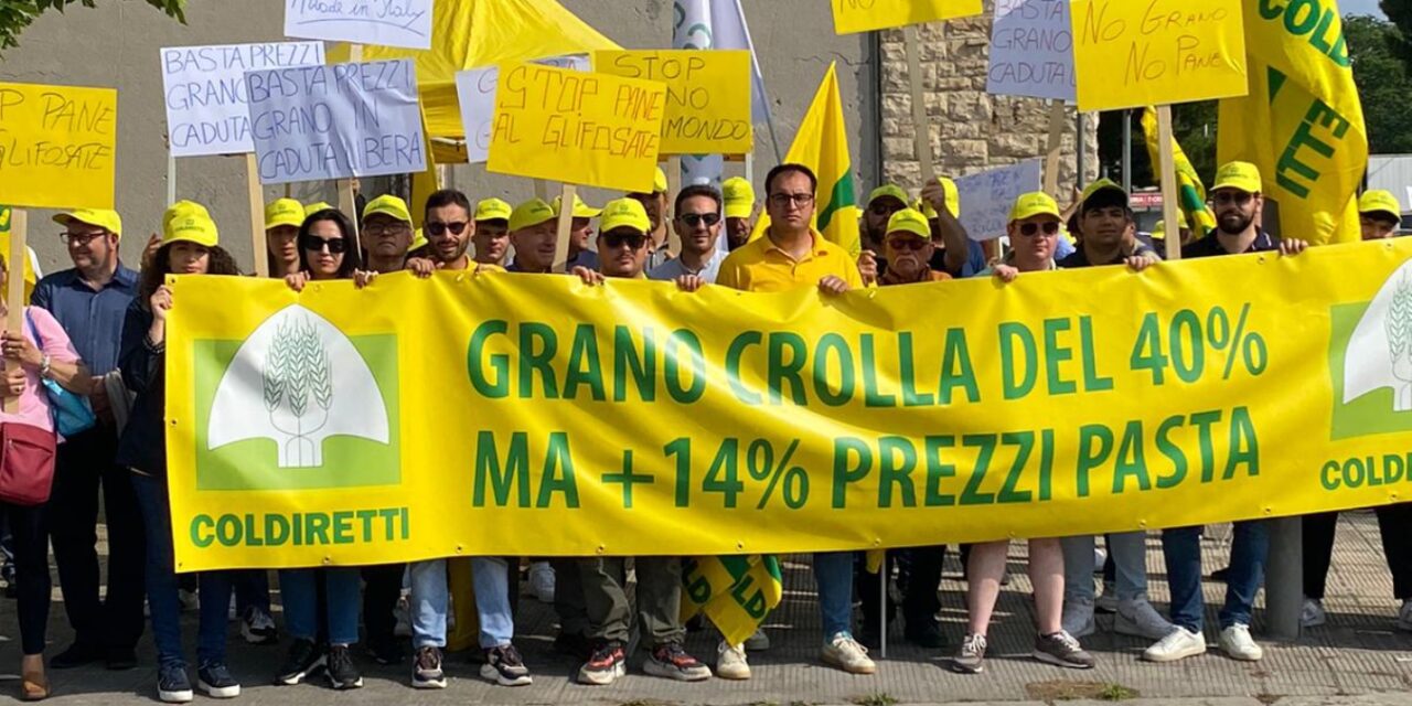 PREZZI: CROLLA GRANO -40% MA PASTA +14%, BLITZ COLDIRETTI