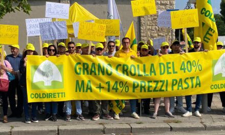 PREZZI: CROLLA GRANO -40% MA PASTA +14%, BLITZ COLDIRETTI