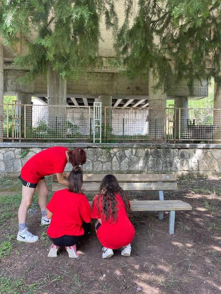 CI STO?AFFARE FATICA!-FACCIAMO IL BENE COMUNE