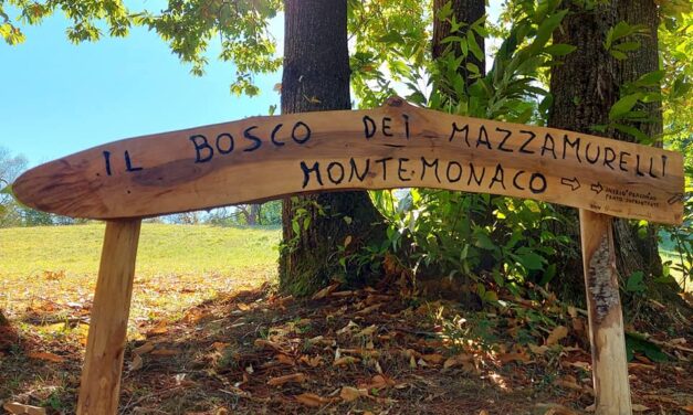 MAZZAMURELLO E’ PRONTO  PER IL FESTIVAL