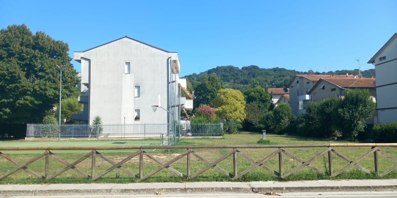 VINCITORI DEL BANDO “SPORT DI TUTTI”