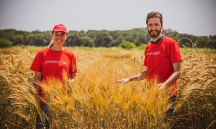 L’IMPORTANZA DEL SEME IN AGRICOLTURA BIOLOGICA: GIROLOMONI APRE LE SUE PORTE AI VISITATORI PER L’INIZIATIVA “SEMINARE IL FUTURO”