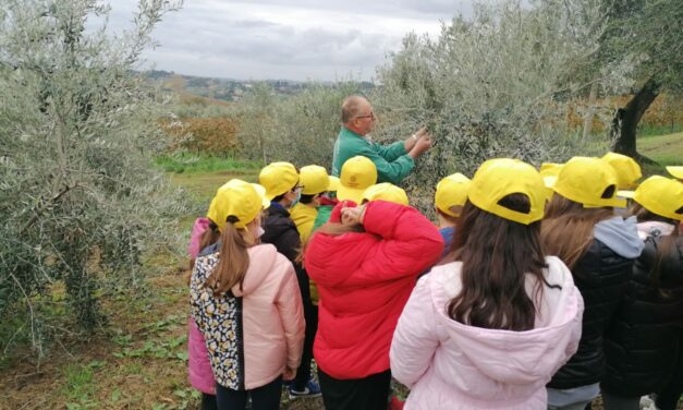 ALUNNI AL FRANTOIO PER CONOSCERE L’ORO VERDE, COLDIRETTI A SAN MARCELLO