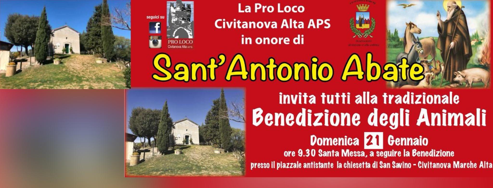 Sant'Antonio civitanova