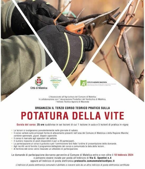 CORSO GRATUITO SULLA POTATURA DELLA VITE A MATELICA