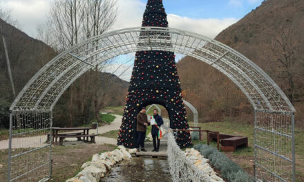 IL MIGLIOR ALBERO DI NATALE DELLA REGIONE MARCHE È A PIEVE TORINA