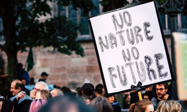 ECOVANDALI: ATTIVISTI O DETURPATORI?