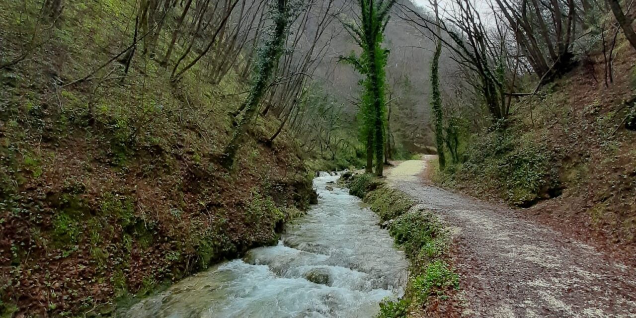 RITORNA IL PELLEGRINAGGIO DELLE ACQUE A PIEVE TORINA