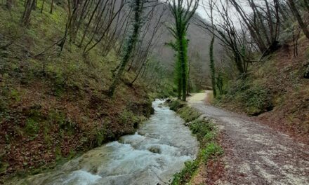 RITORNA IL PELLEGRINAGGIO DELLE ACQUE A PIEVE TORINA