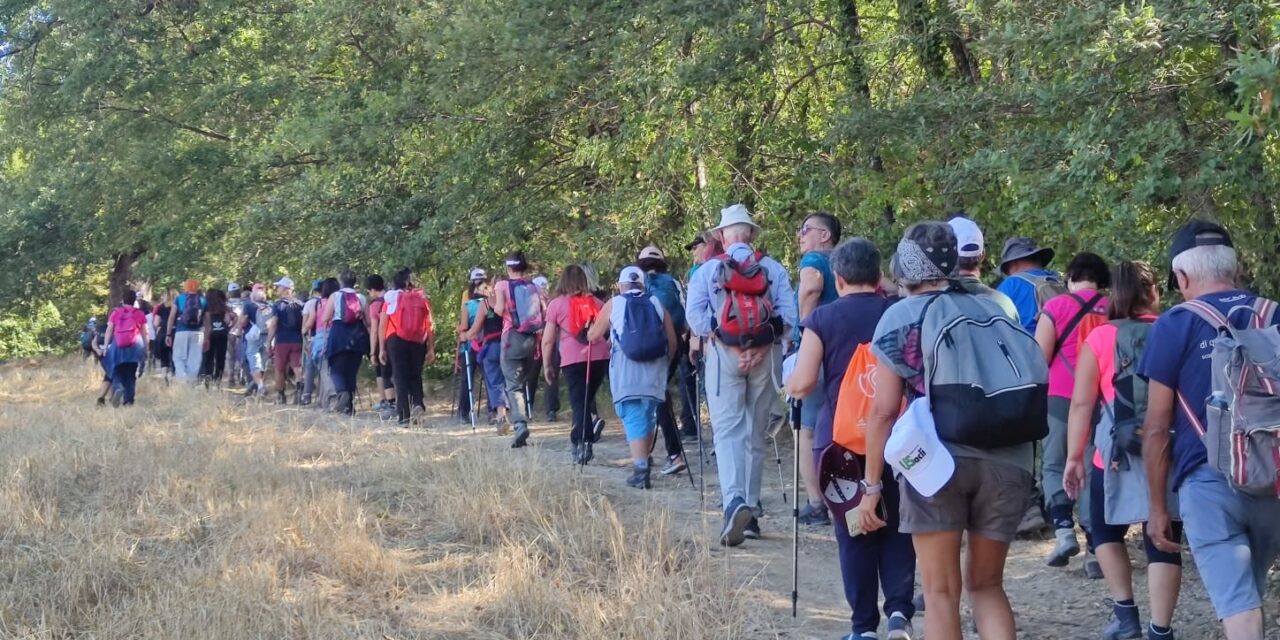 ATTIVITA’ SPORTIVE GRATUITE DEL MOMENTO AD ASCOLI PICENO