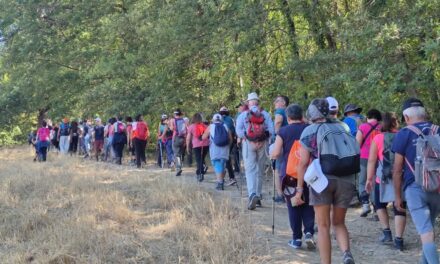 ATTIVITA’ SPORTIVE GRATUITE DEL MOMENTO AD ASCOLI PICENO