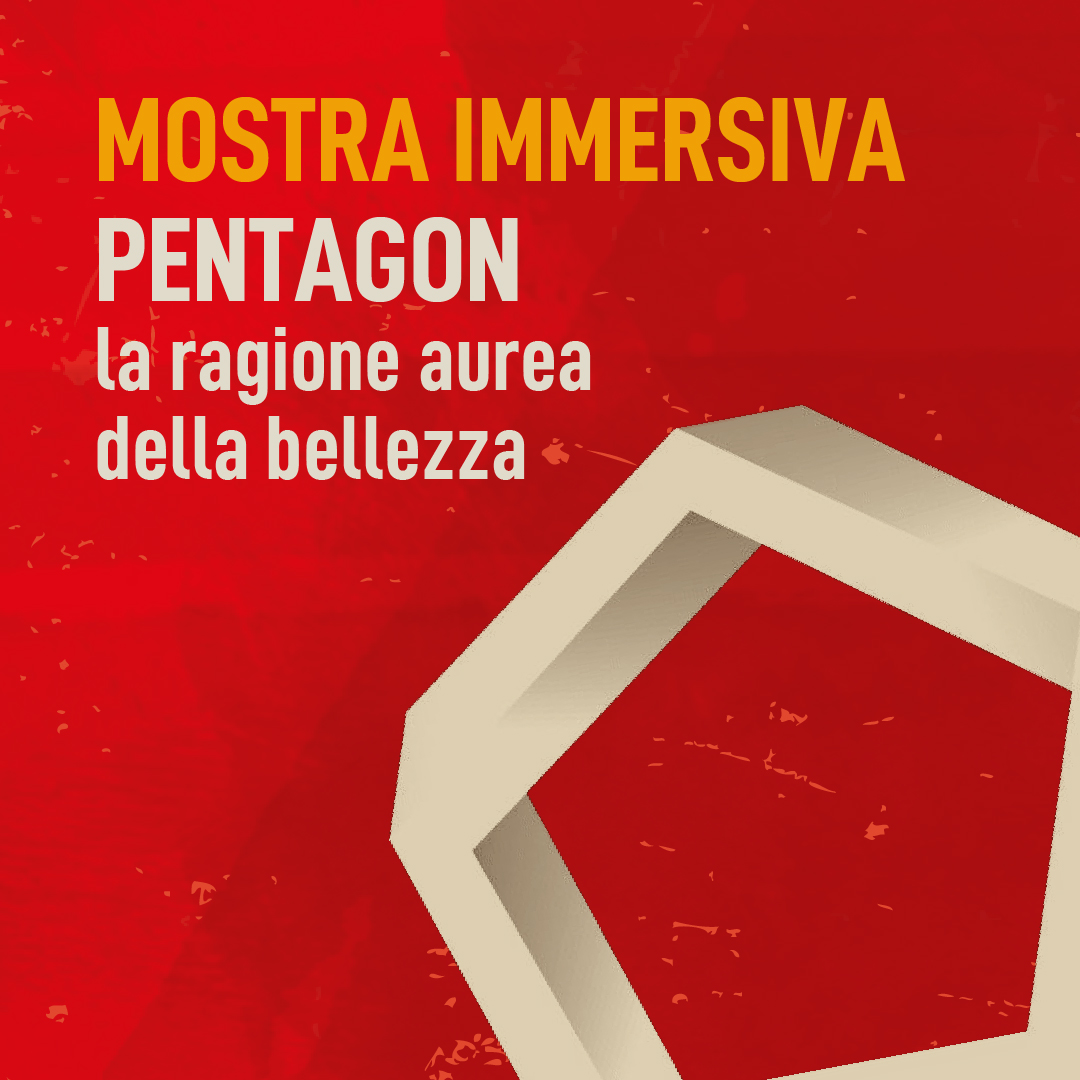 mostra popsophia ancona