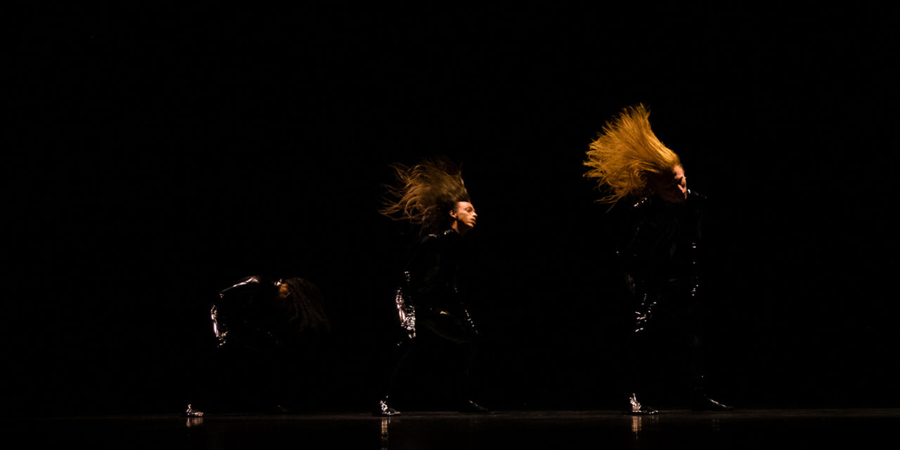 SPETTACOLO DI DANZA “HAIRY” A PESARO