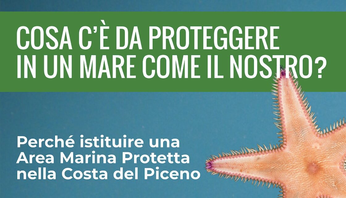 INCONTRO SULLA CONSERVAZIONE DELL’ECOSISTEMA DELL’ADRIATICO A GROTTAMMARE