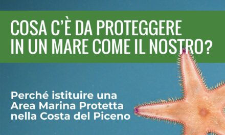 INCONTRO SULLA CONSERVAZIONE DELL’ECOSISTEMA DELL’ADRIATICO A GROTTAMMARE