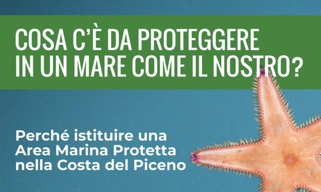 INCONTRO SULLA CONSERVAZIONE DELL’ECOSISTEMA DELL’ADRIATICO A GROTTAMMARE