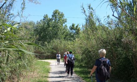 CORSO GRATUITO DI NORDIC WALKING AD ASCOLI PICENO