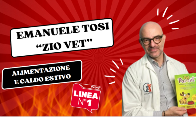 Cosa NON fare al tuo cane quando è caldo – ZIO VET