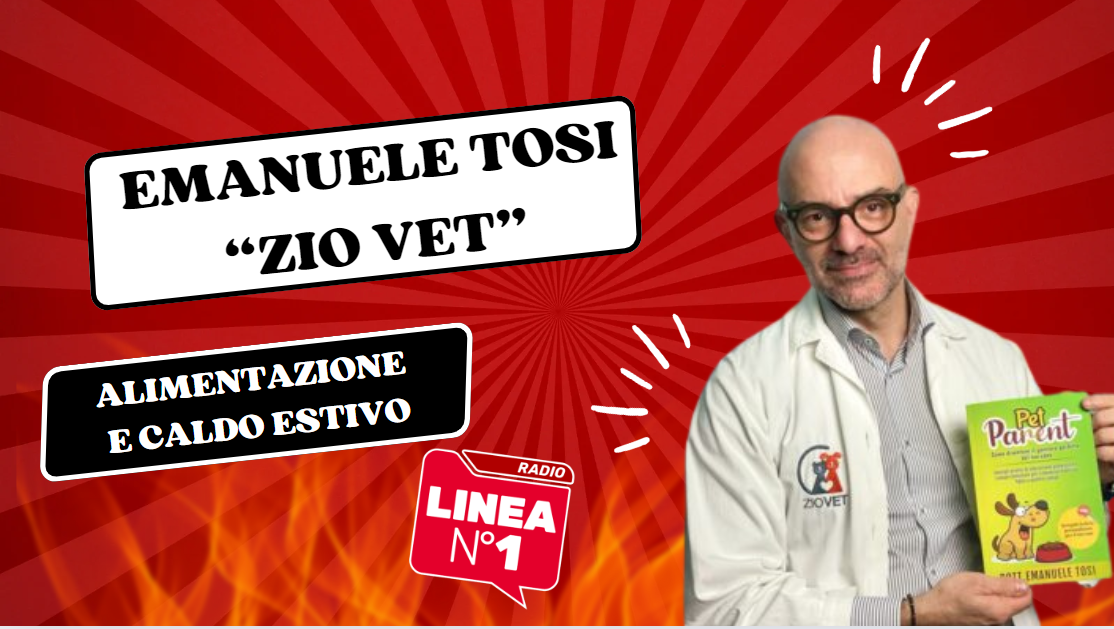 Cosa NON fare al tuo cane quando è caldo – ZIO VET