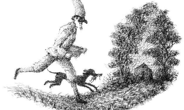 “PULCINELLA SEGRETO”: UN VIAGGIO NELL’UNIVERSO DI MAURO EVANGELISTA AD ANCONA