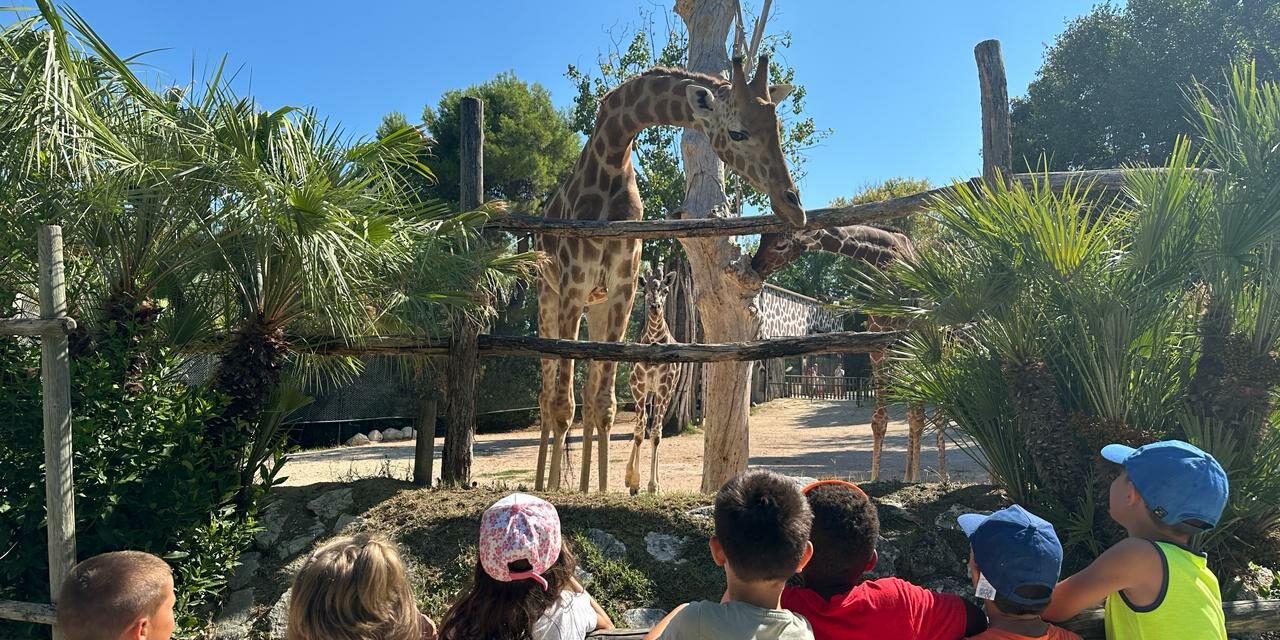 PASQUA AL PARCO ZOO DI FALCONARA