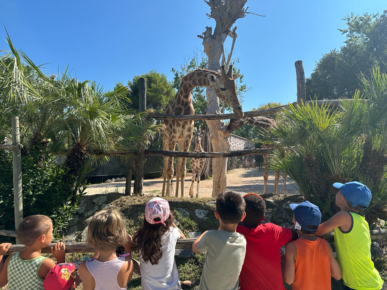 Pasqua al Parco Zoo Falconara: Ultimi Posti per la Caccia alle Uova