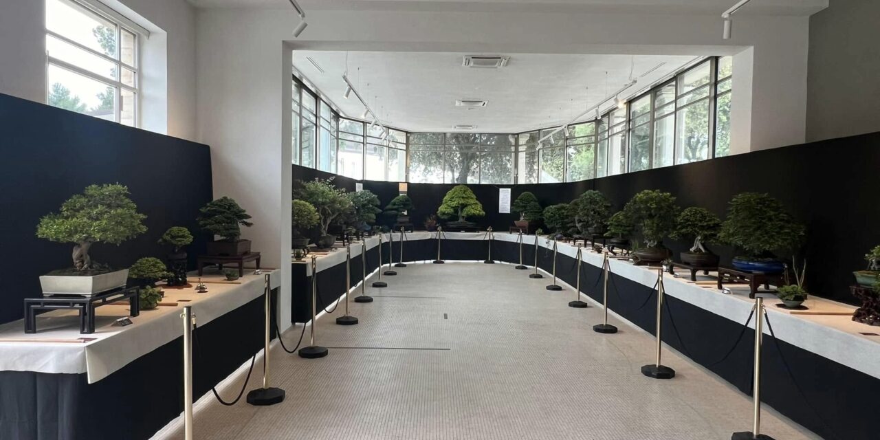 IV EDIZIONE DELLA MOSTRA BONSAI A CIVITANOVA MARCHE