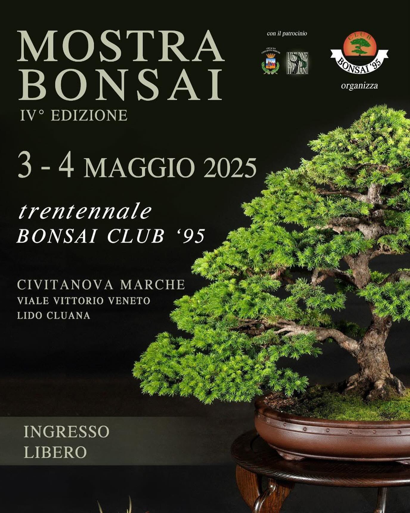iv-edizione-della-mostra-bonsai-a-civitanova-marche iv-edizione-della-mostra-bonsai-a-civitanova-marche