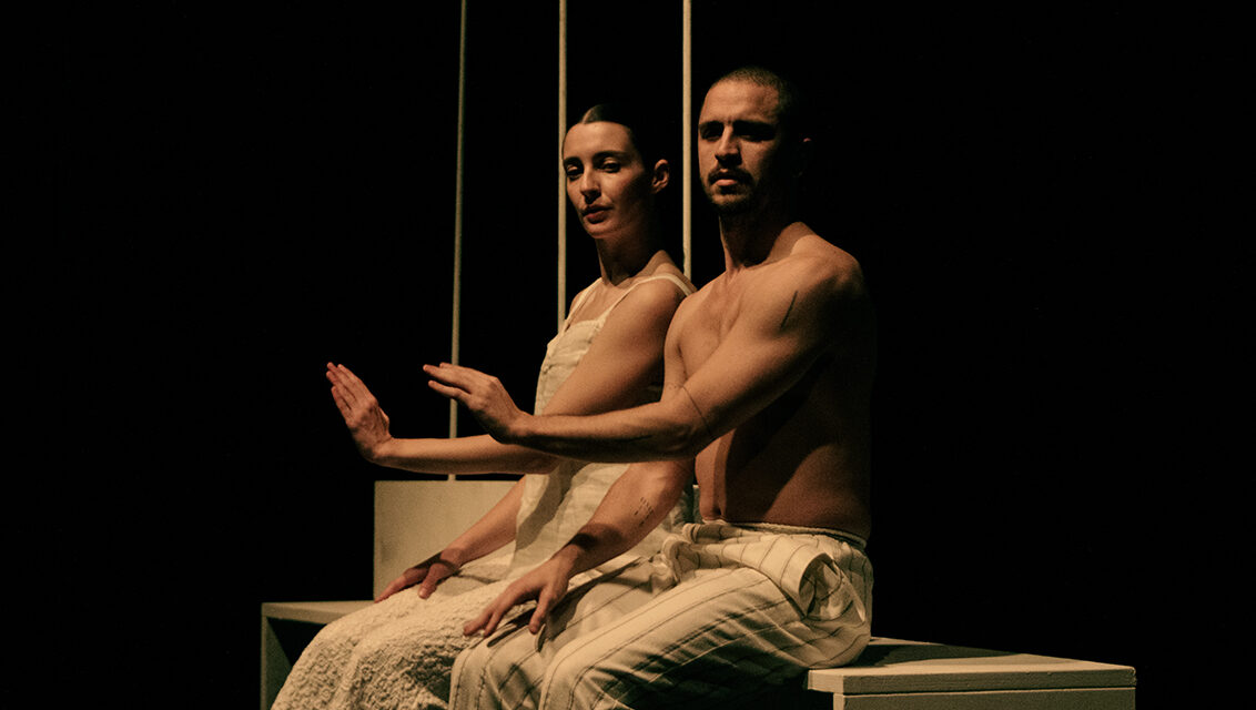 PESARO DANZA FOCUS: LA FESTA DELLA DANZA