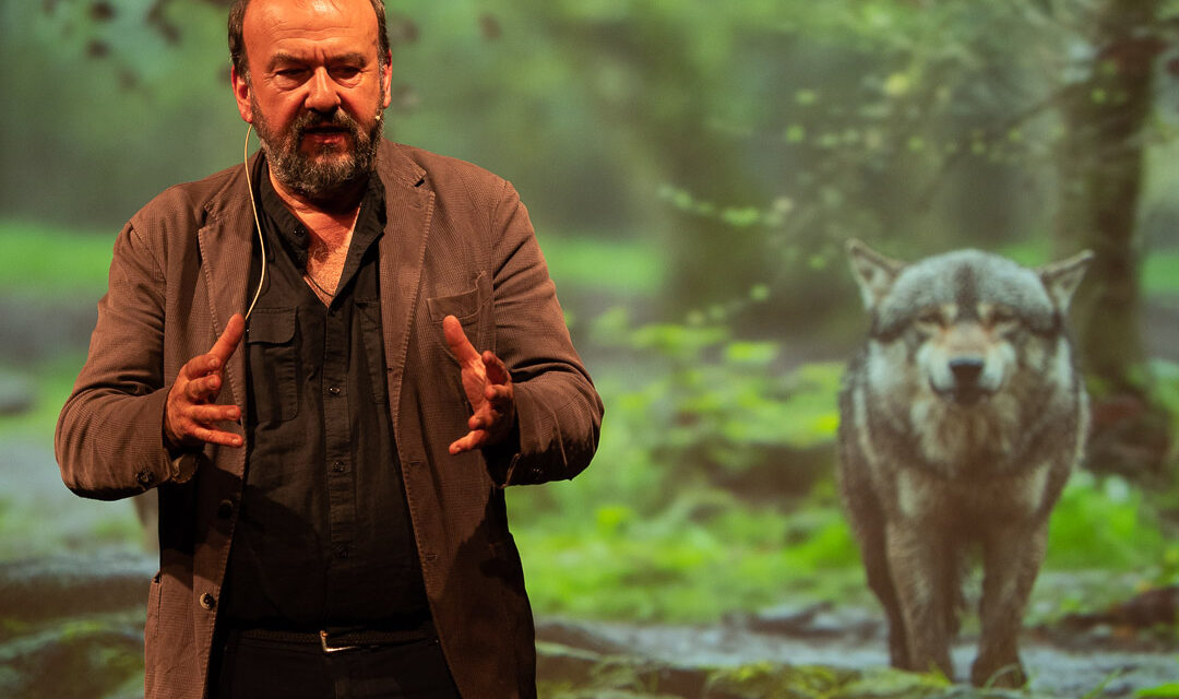ARRIVA NELLE MARCHE “TEATRI IN FESTA”.