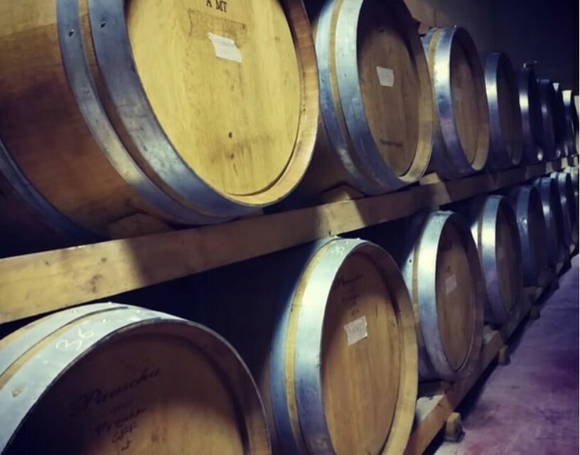 SANT’ANGELO DIVINO 2025