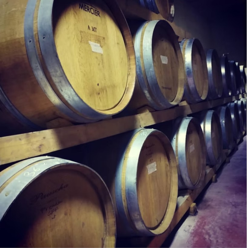 Sant'Angelo DiVino 2025: Sette Cantine, Sette Storie di Terra e Passione

