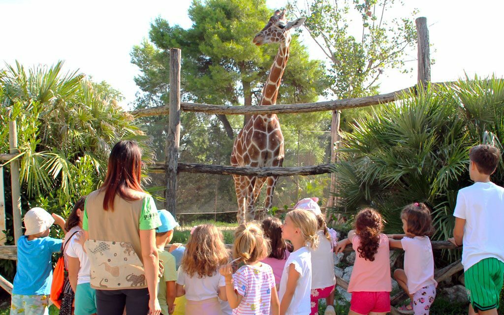 SETTEMBRE AL PARCO ZOO FALCONARA