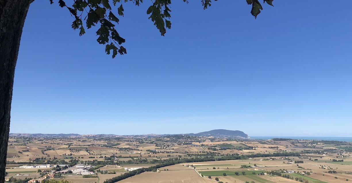 POTENZA PICENA ACCOGLIE IL “GRAPPOLO D’ORO”
