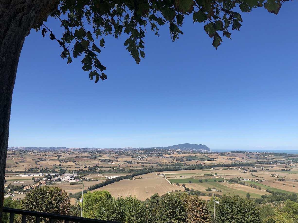 **🍇 Potenza Picena accoglie il “Grappolo d’Oro”: dieci giorni di tradizione, gusto e spettacolo dal 12 al 21 settembre**

Dal **12 al 21 settembre 2025**, **Potenza Picena (MC)** si animerà con la nuova edizione del **Grappolo d’Oro**, uno degli eventi più longevi e identitari delle Marche, inserito nel circuito del **Grand Tour delle Marche** promosso da **Tipicità** e **ANCI Marche**. Per dieci giorni, la città collinare che domina l’Adriatico diventerà un palcoscenico diffuso, in cui cultura rurale, enogastronomia e spettacolo si fonderanno in un'esperienza unica.

---

### 🎬 Venerdì 12 settembre, ore 18:30 – Auditorium Scarfiotti

L’inaugurazione sarà affidata all’evento **“Lo spettacolo del borgo”**, condotto da **David Romano** e **Sara Santacchi**. Il pubblico verrà guidato in un “piano-sequenza” turistico alla scoperta di Potenza Picena: dai vigneti che raccontano la storia agricola del luogo, alla musica, dall’arte pop alla cultura artigiana. Sarà un racconto corale pensato per chi ama viaggiare tra mare, colline e autenticità.

---

### 🏛️ Dal 13 al 21 settembre – Centro storico

Per tutta la durata dell’evento, il centro storico si trasformerà in un **grande teatro a cielo aperto**:

* **Locande tipiche**,
* **Artisti di strada**,
* **Spettacoli dal vivo**,
* **Mercatini**,
* **Mostre fotografiche**,
* **Cibo locale e vini DOC**.

In programma anche l’avvio del progetto **Enoteca Ribona Colli Maceratesi DOC**, per valorizzare l’identità vinicola del territorio.

---

### 🍽️ Sabato 14 settembre, ore 20:00 – Piazza principale

Torneranno le amate **cene rionali**, con le delegazioni di quartiere riunite per una grande cena collettiva in piazza. Un momento simbolico di comunità, aggregazione e festa, tra musica, piatti tipici e bandiere colorate.

---

### 🦶 Domenica 21 settembre, ore 17:00 – Vie del borgo

Gran finale con la **tradizionale Gara di Pigiatura**, seguita dalla spettacolare **“Corsa delle Botti”**, in cui i rioni si sfideranno per la conquista del **Palio dei Rioni**.

---

🎉 Il **Grappolo d’Oro** sarà, ancora una volta, una celebrazione della cultura contadina e dell’orgoglio locale, capace di attrarre visitatori da tutta la regione. Organizzato dalla **Pro Loco di Potenza Picena** con il supporto del **Comune**, l’evento offrirà un viaggio tra tradizioni, sapori e spettacolo.

📍 **Info dettagliate e programma completo su:** [www.tipicita.it](https://www.tipicita.it)
