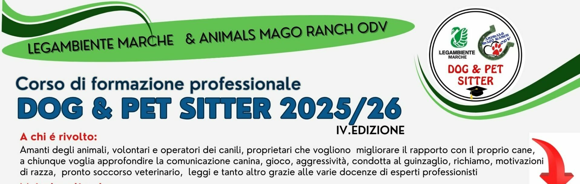 🐾 A Corridonia il nuovo Corso per Dog & Pet Sitter 2025/26: 80 ore di formazione per trasformare l’amore per gli animali in una professione