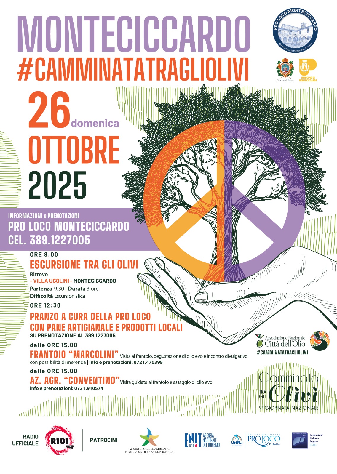 MONTECICCARDO: 9^ CAMMINATA TRA GLI OLIVI PER LA PACE