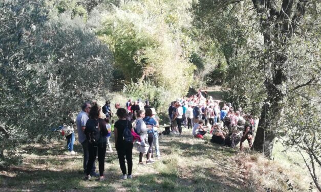 MONTECICCARDO: 9^ CAMMINATA TRA GLI OLIVI PER LA PACE