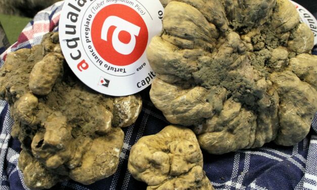 60^ FIERA INTERNAZIONALE DEL TARTUFO BIANCO DI ACQUALAGNA