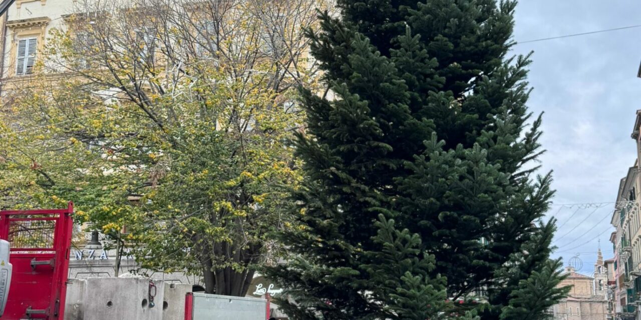 ANCONA: INAUGURAZIONE ALBERO DI NATALE