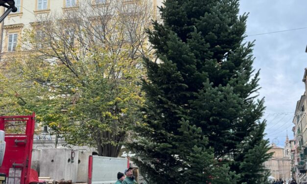 ANCONA: INAUGURAZIONE ALBERO DI NATALE
