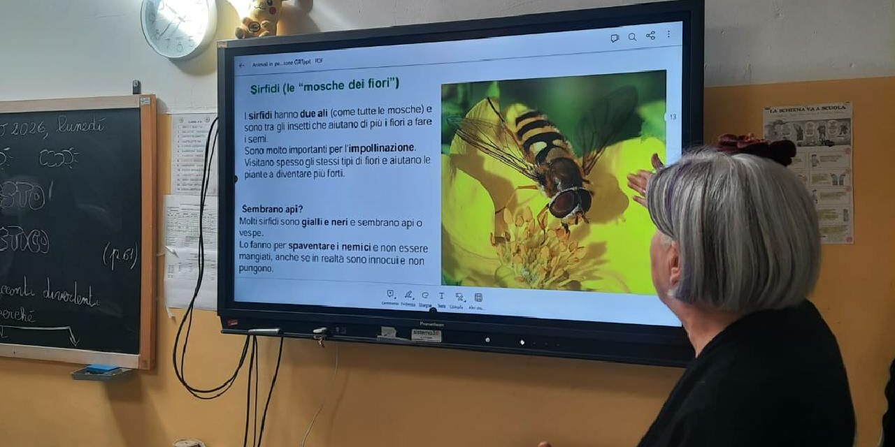 GROTTAMMARE: BIODIVERSITÀ E INSETTI UTILI NELLE SCUOLE