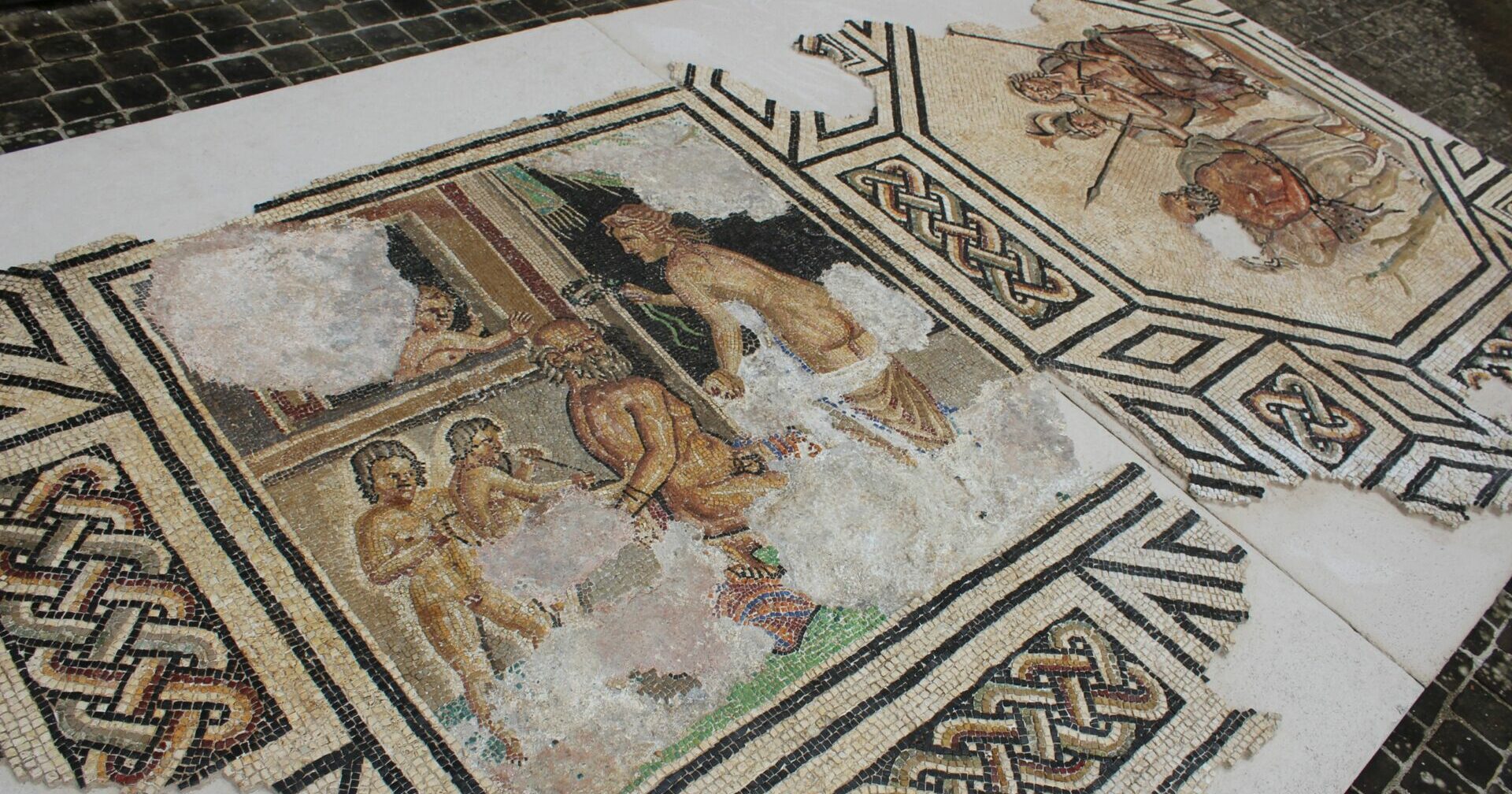 MATELICA-MOSAICI-ROMANI-MUSEO-PALAZZO-OTTONI MATELICA-MOSAICI-ROMANI-MUSEO-PALAZZO-OTTONI