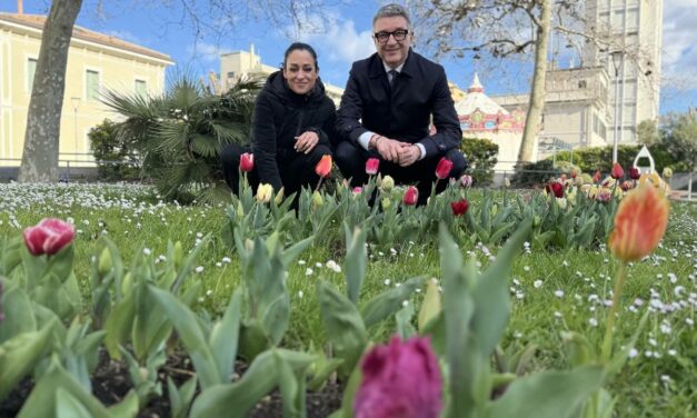 A PESARO FIORISCONO I NUOVI SORRISI: 470 TULIPANI PER I NATI DEL 2025