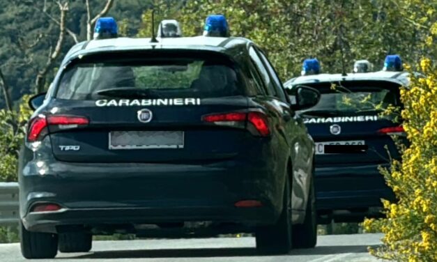 TRUFFA ONLINE: CARABINIERI DI APIRO DENUNCIANO 36ENNE PER VENDITA FALSA DI CARRO ATTREZZI, 6 MARZO 2026