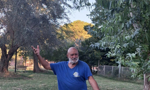 Ad ASCOLI PICENO lezione gratuita di taijiquan e qigong